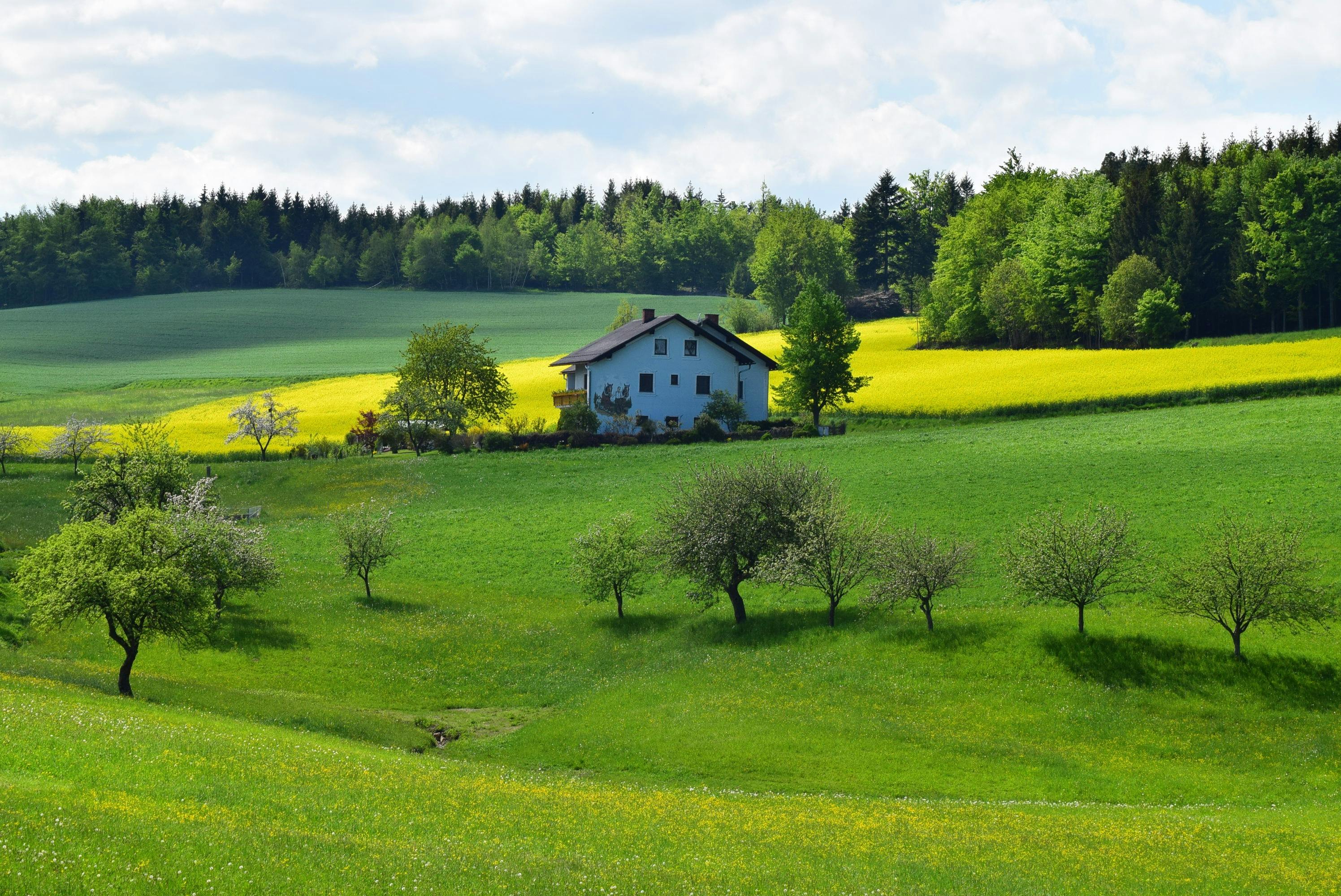 Agricultural Farm House