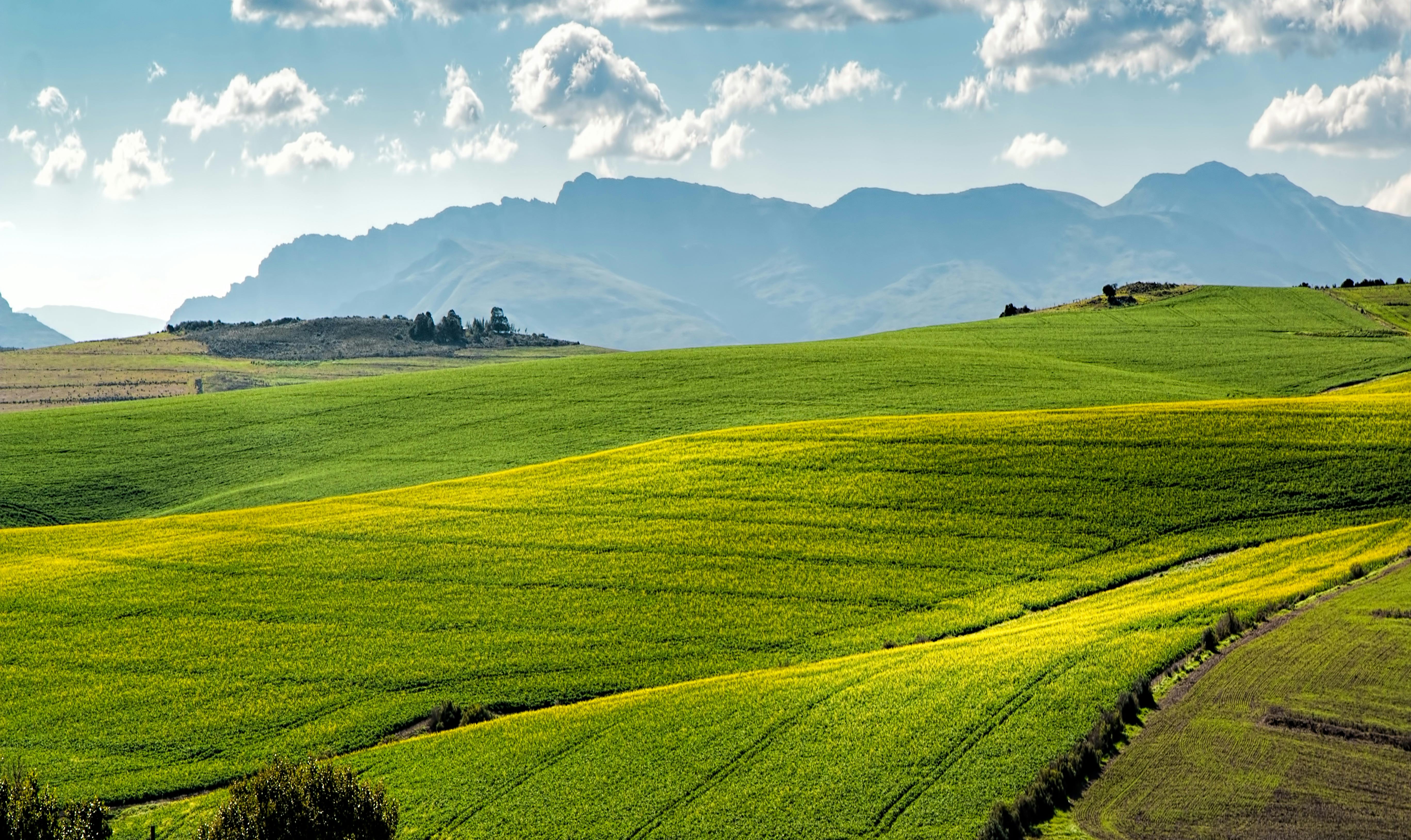 Agricultural Land